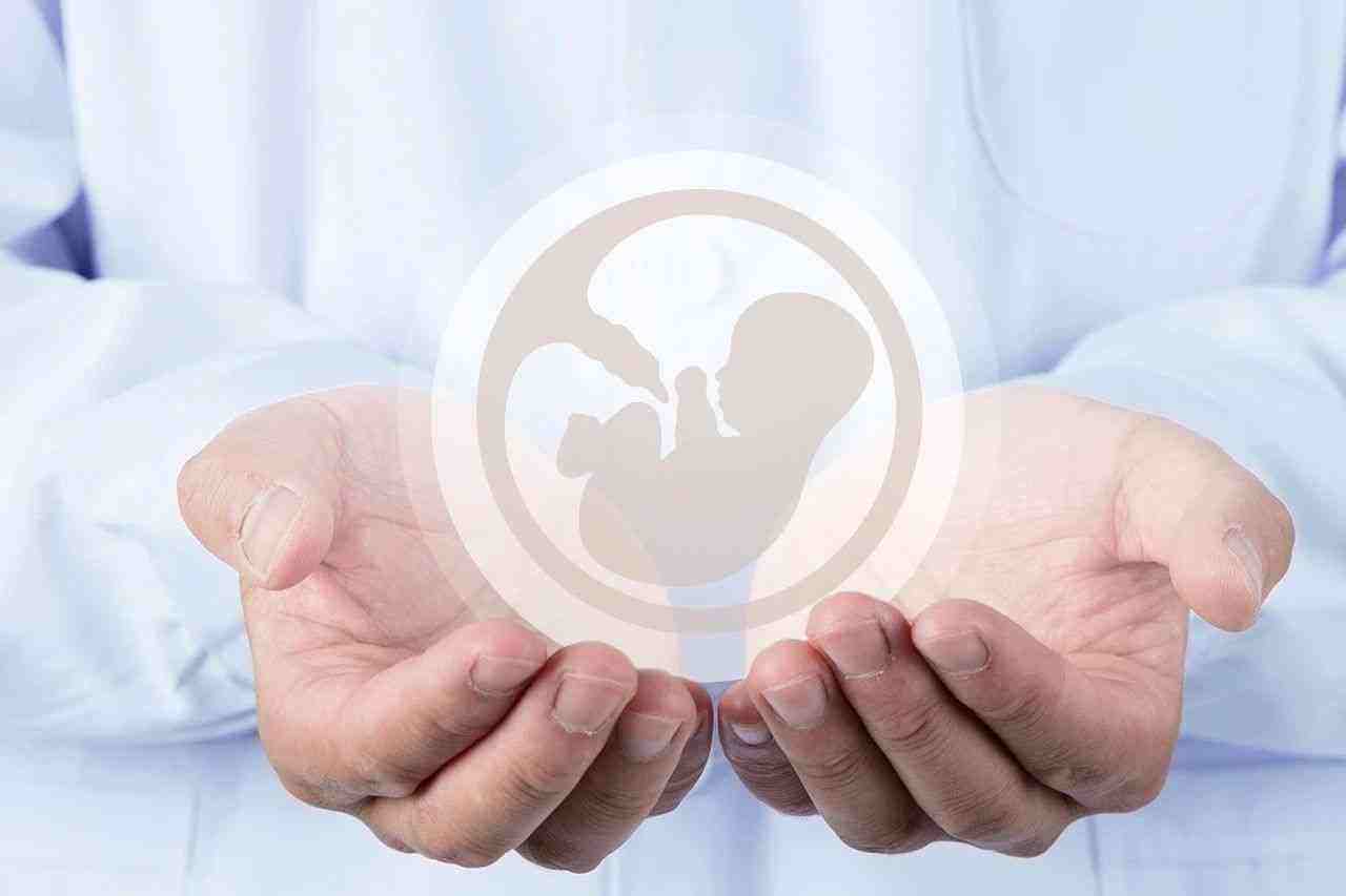 潍坊捐卵-北京公立医院捐卵价格，试管婴儿捐卵费用一目了然!